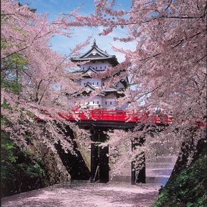 Meet your Posher, Kyongjae